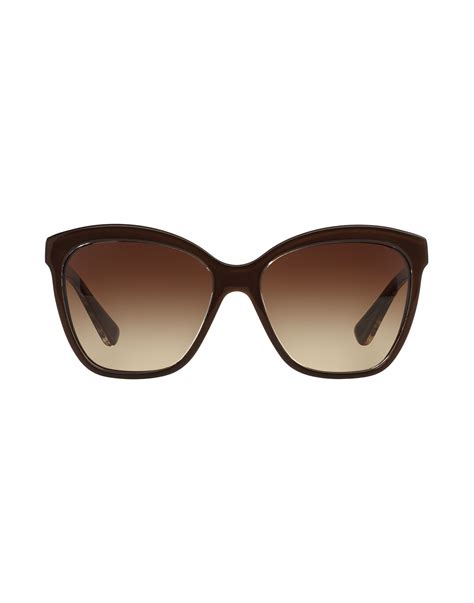 dolce gabbana inside designed brown.sunglasses|dolce gabbana unisex sunglasses.